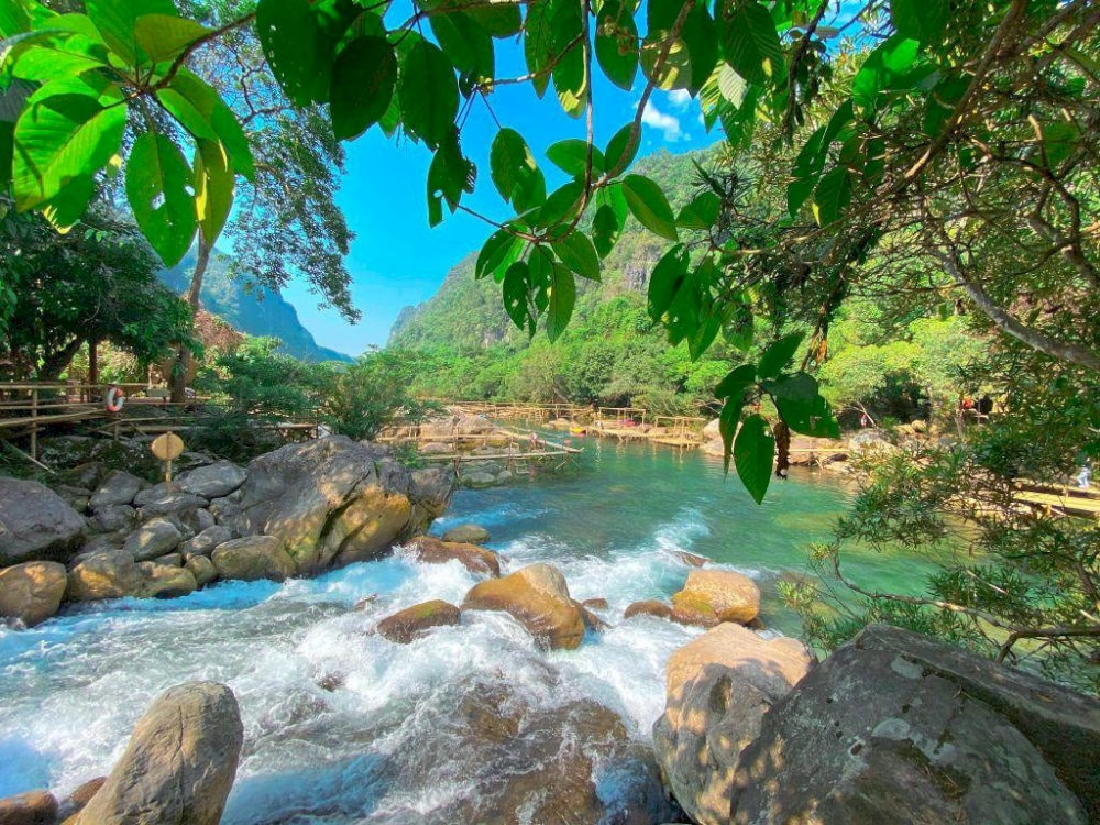 As a natural corridor between forest and freshwater ecosystems, Mooc Spring reveals a vibrant mosaic of tropical life